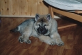 Dateiname: 199803-009.jpg
Dateigröße: 71KB
Abmessungen: 600x409
hinzugefügt am: 12.September 2009 199803-009.jpg