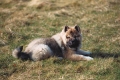 199803-022.jpg