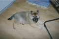 199803-025.jpg