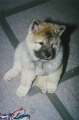 199803-026.jpg