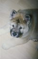 199803-028.jpg
