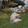 199803-029.jpg