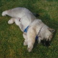 199803-030.jpg
