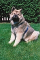 199805-007.jpg