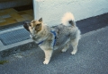 199805-014.jpg
