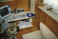 Dateiname: 199805-015.jpg
Dateigröße: 98KB
Abmessungen: 600x408
hinzugefügt am: 12.September 2009 199805-015.jpg