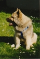 Dateiname: 199805-017.jpg
Dateigröße: 118KB
Abmessungen: 408x600
hinzugefügt am: 12.September 2009 199805-017.jpg