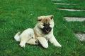 199904-001.jpg