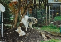 199904-004.jpg